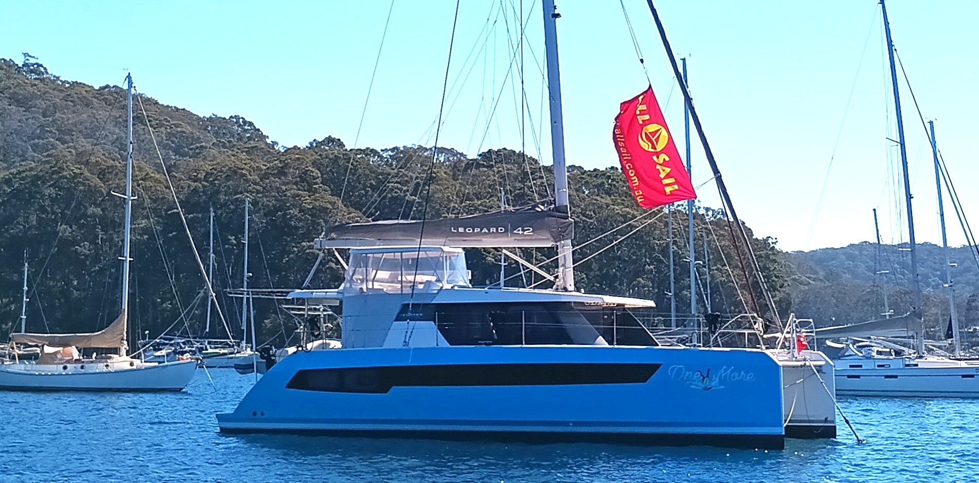 One More Leopard 42